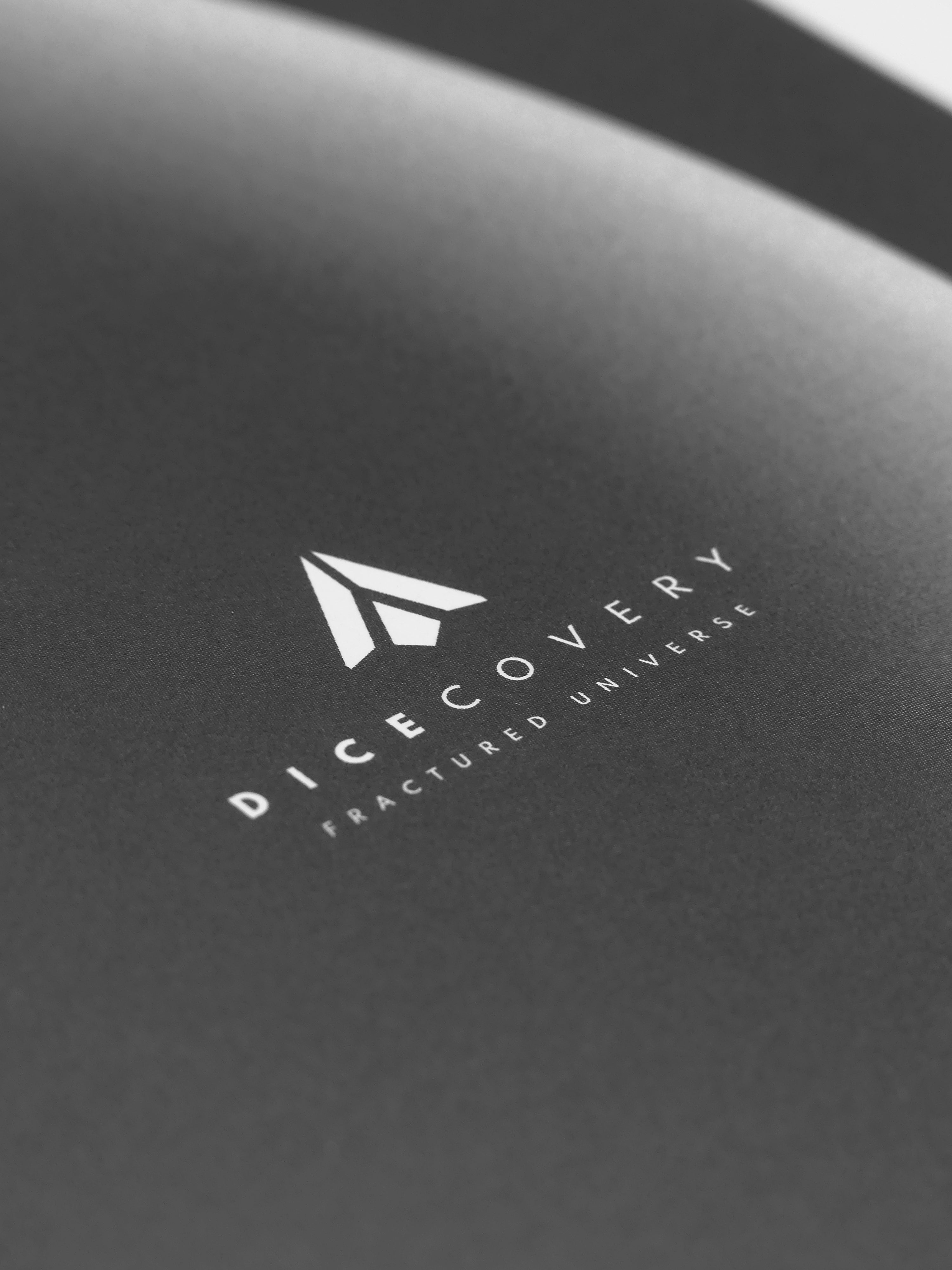 DICECOVERY NOTEBOOK